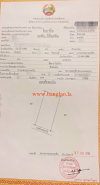 T00315